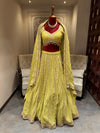 Lemon Lime Embroidered Lehenga