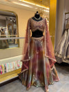 Multicolor Shimmer Lehenga Set with Embellished Blouse
