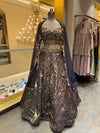 Navy Blue & Golden Embroidered Lehenga Set